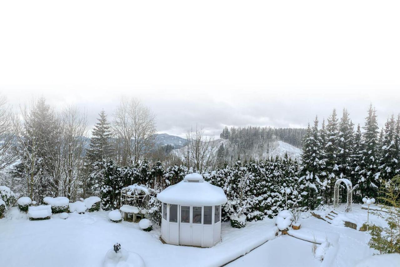 Villa Salza Sankt Martin am Grimming 外观 照片
